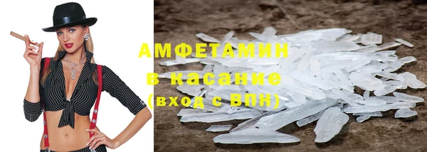 прущие грибы Абинск