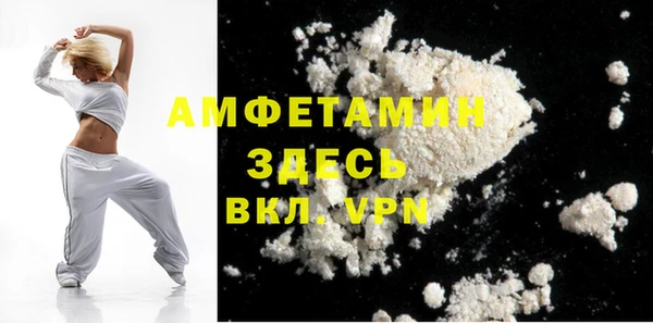 прущие грибы Абинск