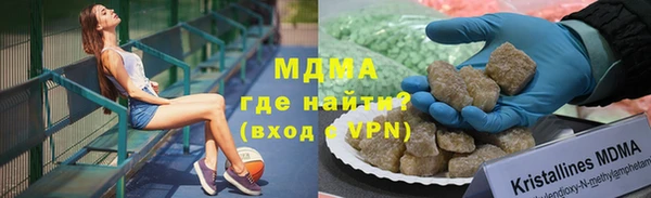 прущие грибы Абинск