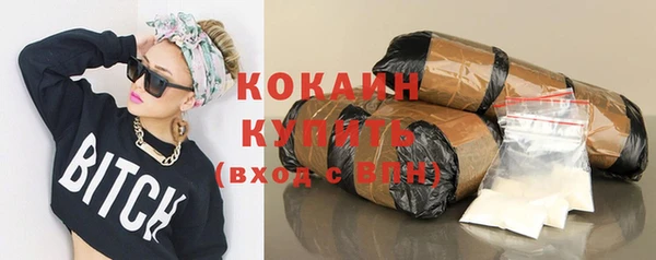 прущие грибы Абинск
