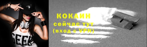 прущие грибы Абинск