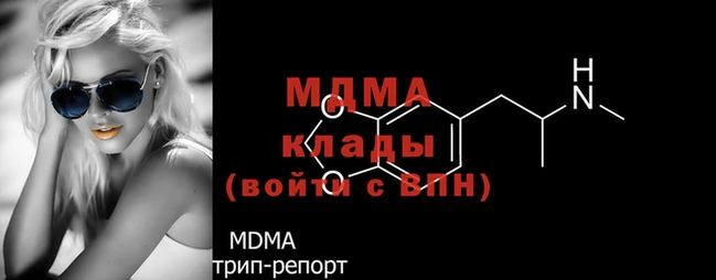прущие грибы Абинск