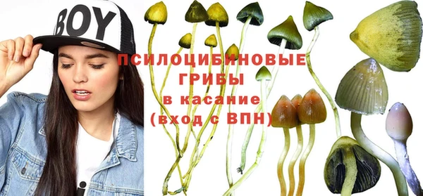 твердый Покровск