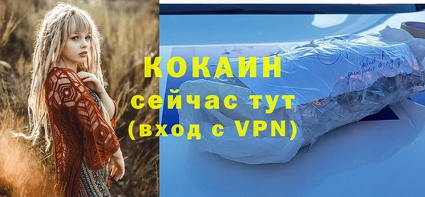 твердый Покровск